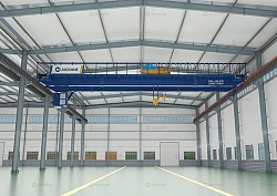 bridge crane cost
