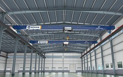 overhead bridge crane cost